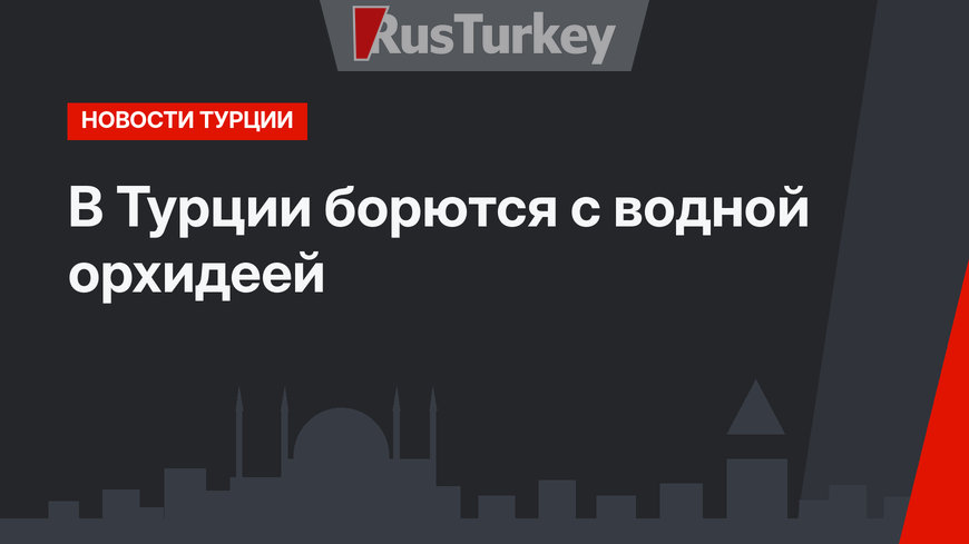 В Турции борются с водной орхидеей