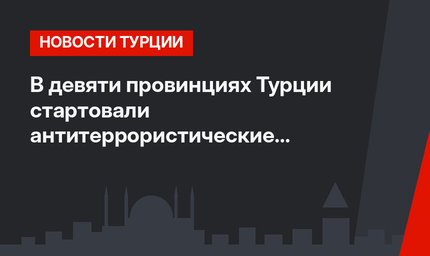 В девяти провинциях Турции стартовали антитеррористические операции