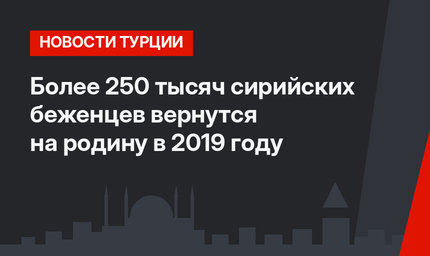 Более 250 тысяч сирийских беженцев вернутся на родину в 2019 году
