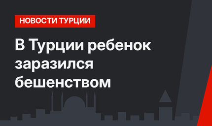 В Турции ребенок заразился бешенством 