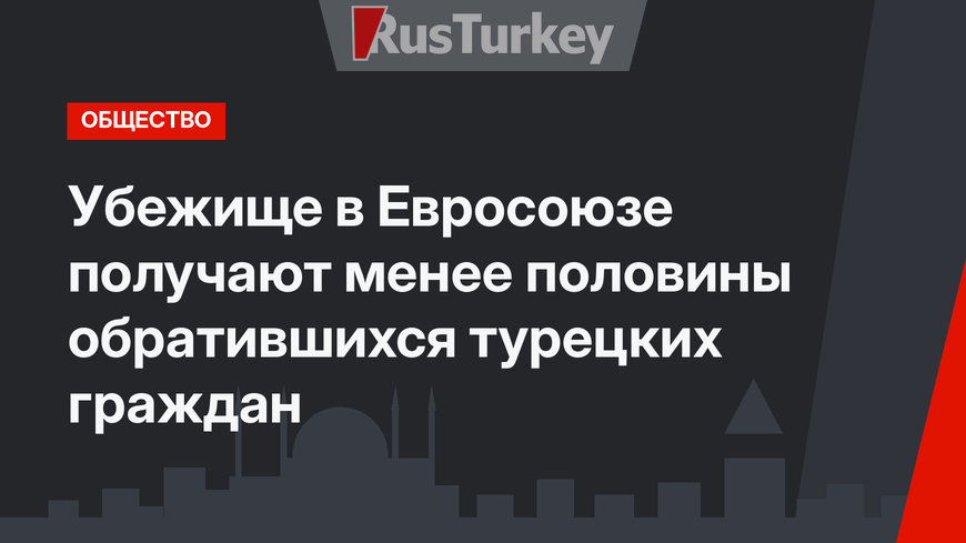 Убежище в Евросоюзе получают менее половины обратившихся турецких граждан