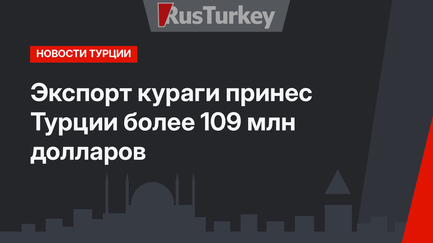 Экспорт кураги принес Турции более 109 млн долларов