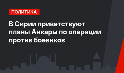 В Сирии приветствуют планы Анкары по операции против боевиков