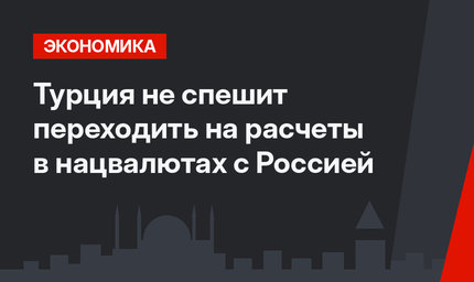 Турция не спешит переходить на расчеты в нацвалютах с Россией