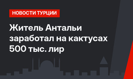Житель Антальи заработал на кактусах 500 тыс. лир
