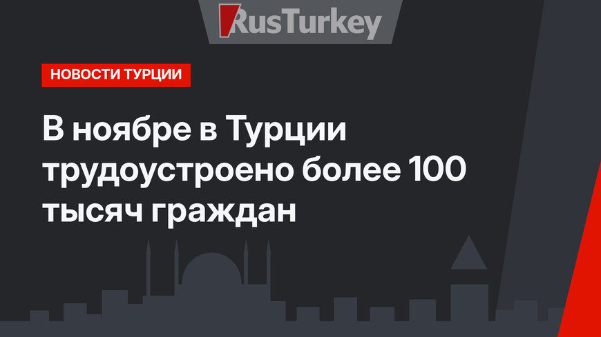 В ноябре в Турции трудоустроено более 100 тысяч граждан