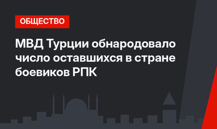 МВД Турции обнародовало число оставшихся в стране боевиков РПК