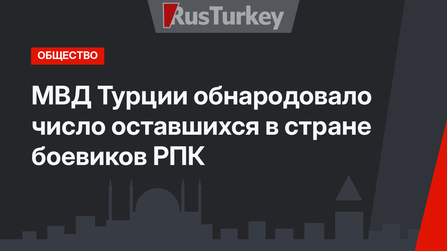 МВД Турции обнародовало число оставшихся в стране боевиков РПК