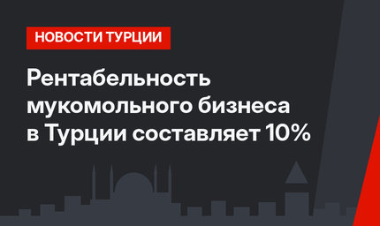 Рентабельность мукомольного бизнеса в Турции составляет 10%
