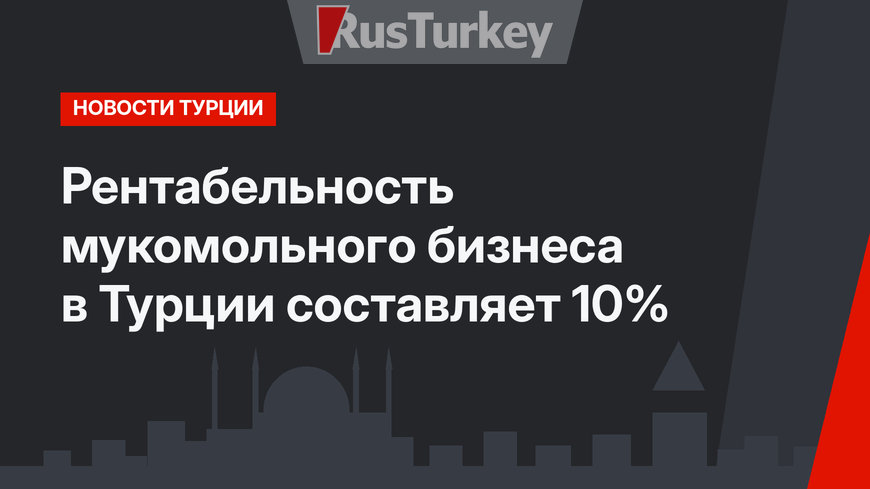 Рентабельность мукомольного бизнеса в Турции составляет 10%