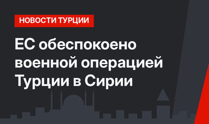 ЕС обеспокоено военной операцией Турции в Сирии