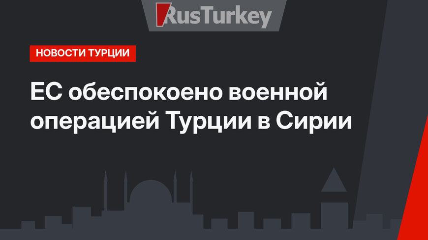 ЕС обеспокоено военной операцией Турции в Сирии