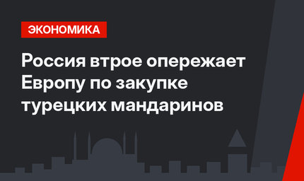 Россия втрое опережает Европу по закупке турецких мандаринов