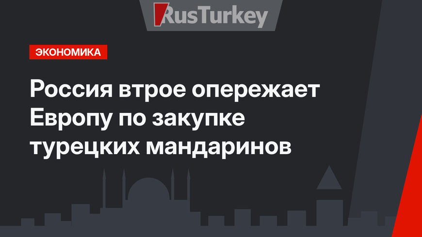 Россия втрое опережает Европу по закупке турецких мандаринов