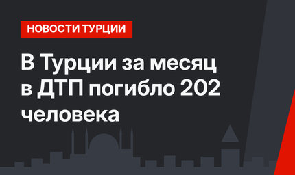 В Турции за месяц в ДТП погибло 202 человека