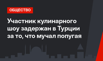 Участник кулинарного шоу задержан в Турции за то, что мучал попугая