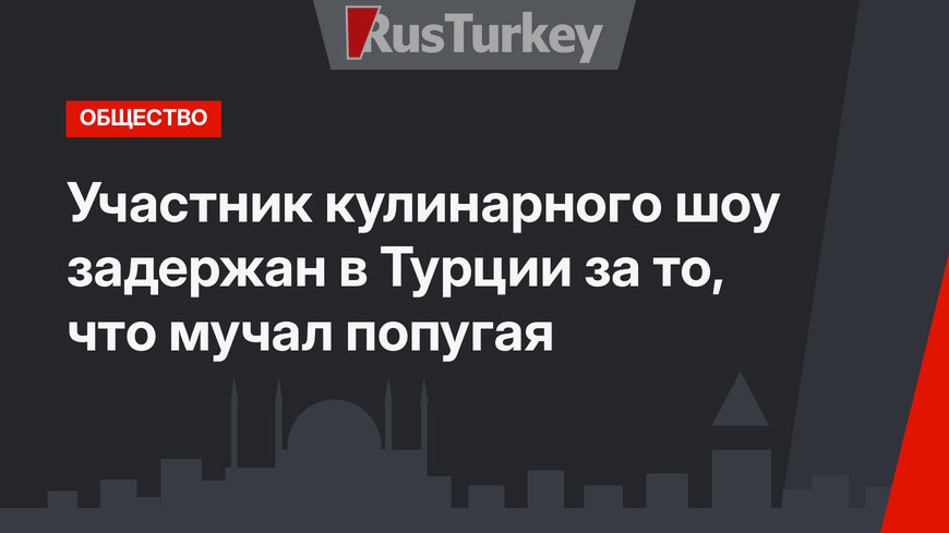 Участник кулинарного шоу задержан в Турции за то, что мучал попугая