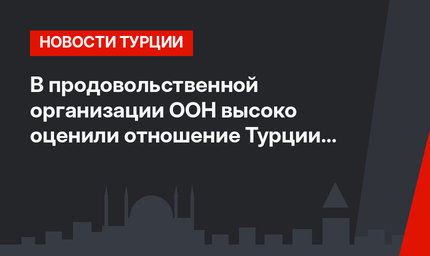 В продовольственной организации ООН высоко оценили отношение Турции к сирийцам