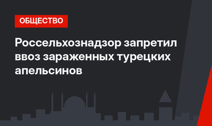 Россельхознадзор запретил ввоз зараженных турецких апельсинов