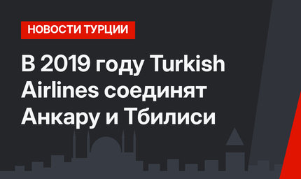 В 2019 году Turkish Airlines соединят Анкару и Тбилиси 