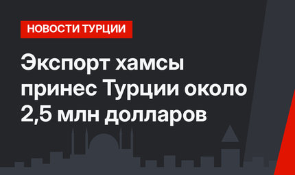 Экспорт хамсы принес Турции около 2,5 млн долларов