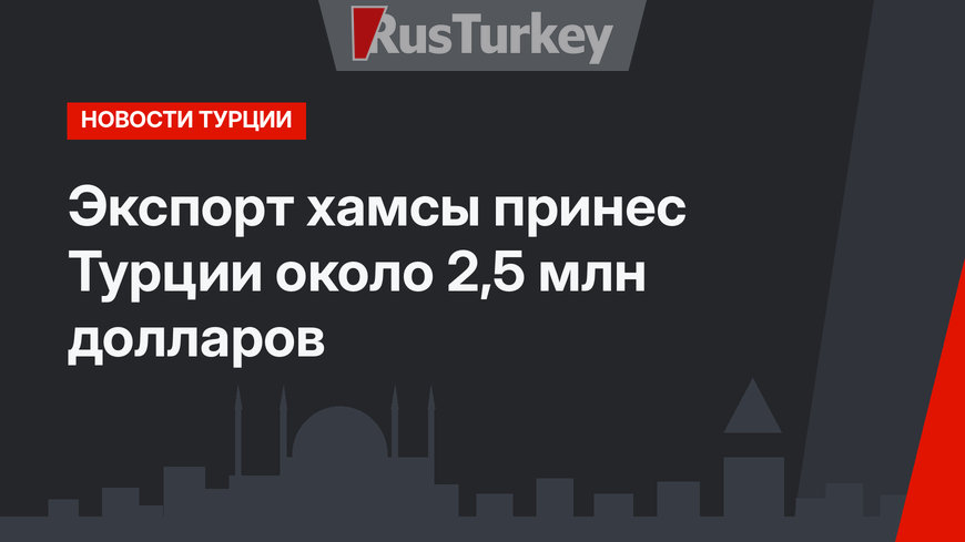 Экспорт хамсы принес Турции около 2,5 млн долларов