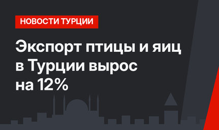 Экспорт птицы и яиц в Турции вырос на 12%