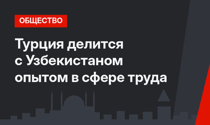 Турция делится с Узбекистаном опытом в сфере труда
