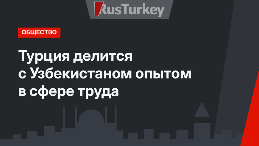 Турция делится с Узбекистаном опытом в сфере труда