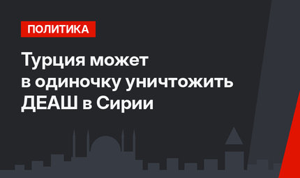 Турция может в одиночку уничтожить ДЕАШ в Сирии