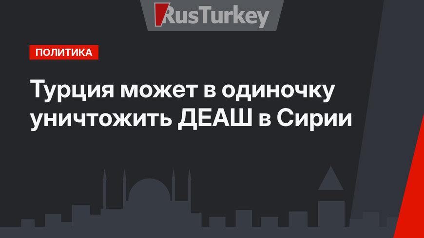 Турция может в одиночку уничтожить ДЕАШ в Сирии