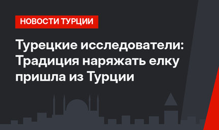 Турецкие исследователи: Традиция наряжать елку пришла из Турции