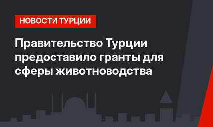 Правительство Турции предоставило гранты для сферы животноводства