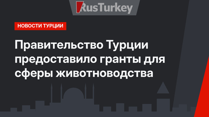 Правительство Турции предоставило гранты для сферы животноводства