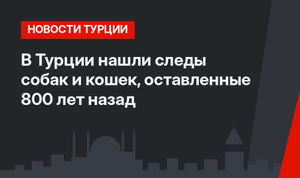 В Турции нашли следы собак и кошек, оставленные 800 лет назад