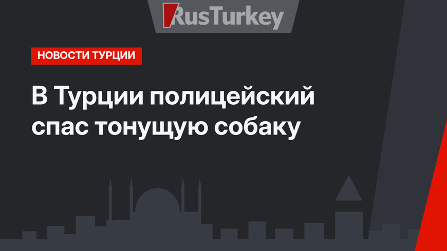В Турции полицейский спас тонущую собаку 