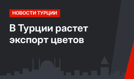 В Турции растет экспорт цветов
