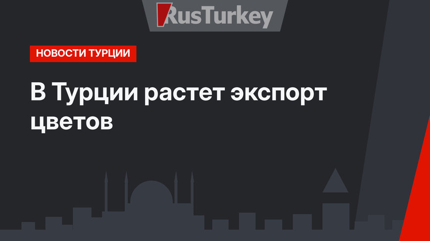 В Турции растет экспорт цветов