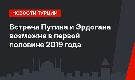 Встреча Путина и Эрдогана возможна в первой половине 2019 года