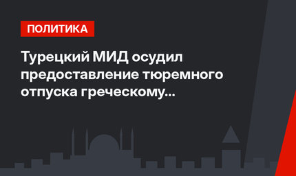 Турецкий МИД осудил предоставление тюремного отпуска греческому террористу