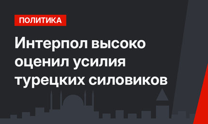 Интерпол высоко оценил усилия турецких силовиков