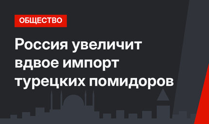 Россия увеличит вдвое импорт турецких помидоров