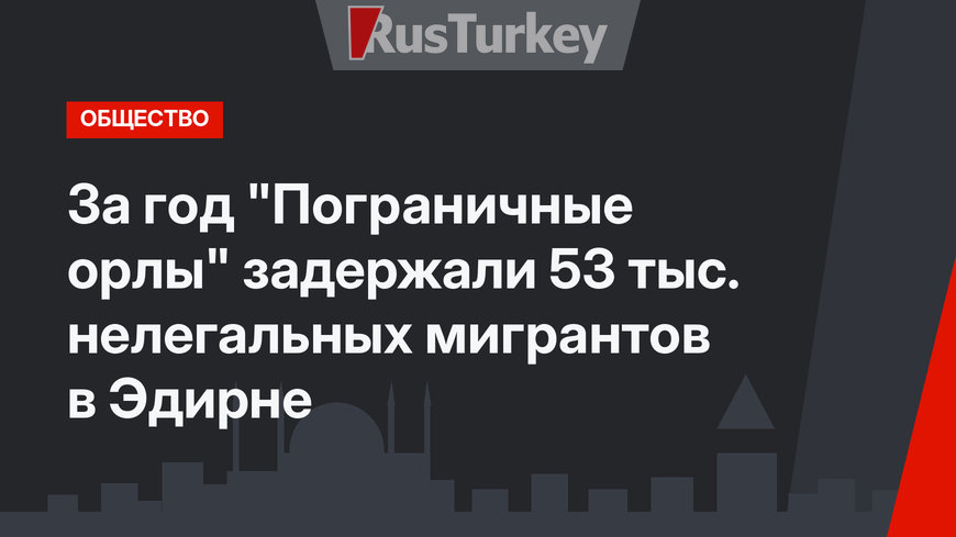 За год "Пограничные орлы" задержали 53 тыс. нелегальных мигрантов в Эдирне
