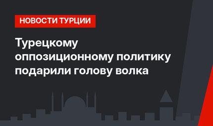 Турецкому оппозиционному политику подарили голову волка