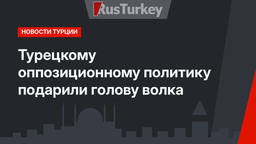 Турецкому оппозиционному политику подарили голову волка