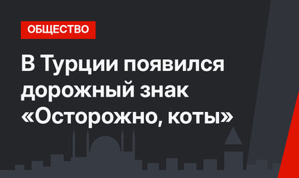 В Турции появился дорожный знак «Осторожно, коты»