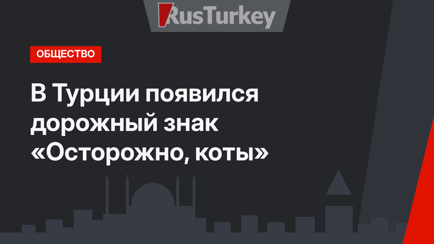 В Турции появился дорожный знак «Осторожно, коты»