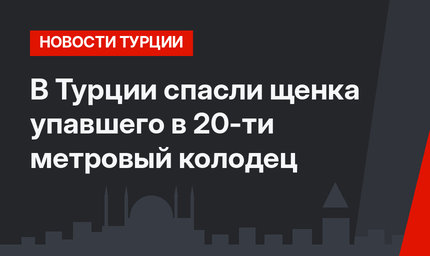 В Турции спасли щенка упавшего в 20-ти метровый колодец