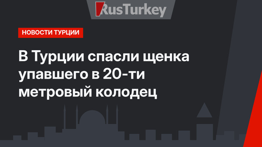 В Турции спасли щенка упавшего в 20-ти метровый колодец