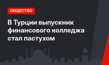 В Турции выпускник финансового колледжа стал пастухом